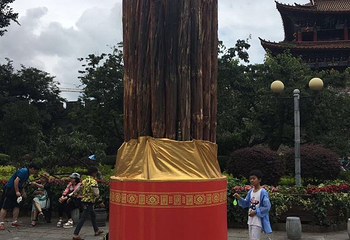 环洱海双层豪华旅游大巴（环洱海一卡通）第 18 张图片