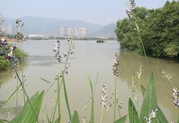 长兴太湖图影湿地文化园第 78 张图片