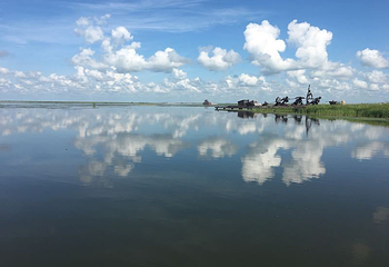 燕窝岛湿地生态旅游区第 9 张图片