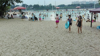 西郊游泳场第 46 张图片