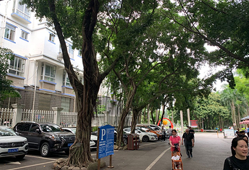 南宁市人民公园第 23 张图片