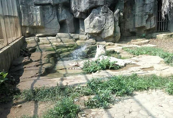 南宁市动物园-加勒比旋风·水世界第 47 张图片