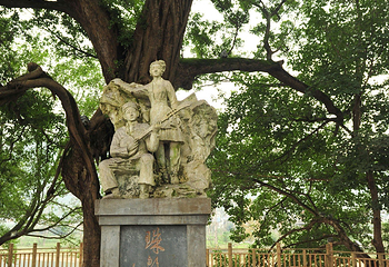古榕群第 23 张图片