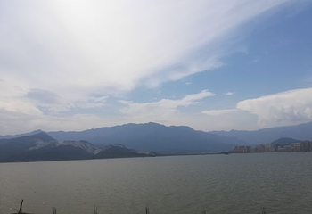 鄱阳湖候鸟保护区第 17 张图片