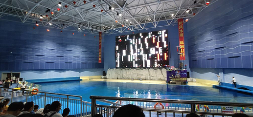 启阳极地海洋王国第 39 张图片