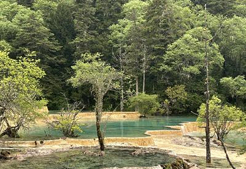 诺日朗餐厅第 11 张图片