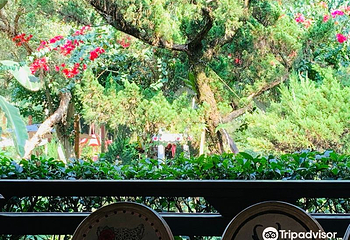 安妮公主花园第 4 张图片