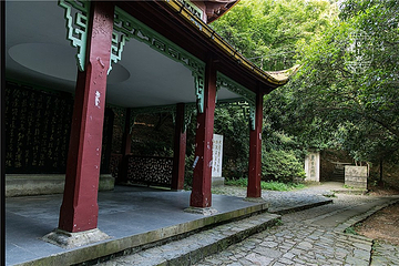 芦花荡公园第 7 张图片