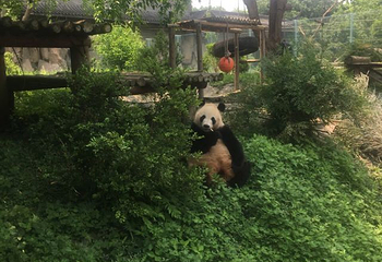 仙芝竹尖生态园第 10 张图片