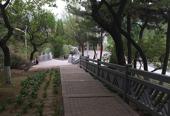 望溪公园第 10 张图片