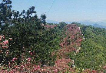 英山县天马寨风景区第 46 张图片
