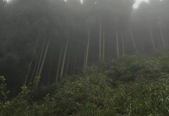 太阳湾风景区第 52 张图片