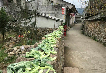 岩头村第 38 张图片
