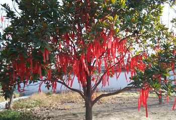 木兰祠第 8 张图片