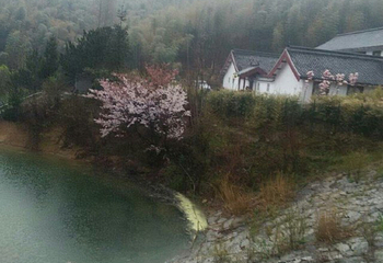 黄柏山国家森林公园第 36 张图片