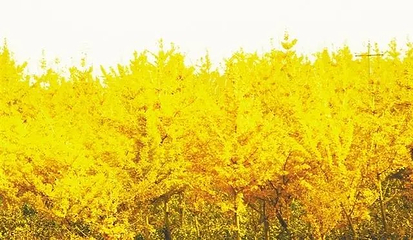 恩施市望城坡景区第 10 张图片