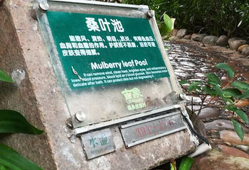 古象温泉度假村第 24 张图片