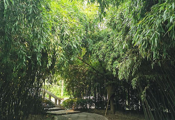 老龙湾第 26 张图片