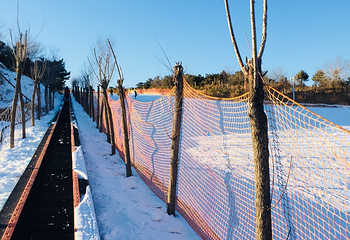 北极光滑雪场第 12 张图片