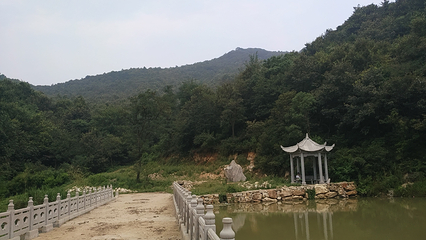 大寺森林公园第 2 张图片