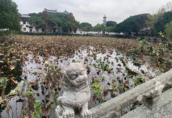 舟山市普陀山风景区-紫竹林第 23 张图片