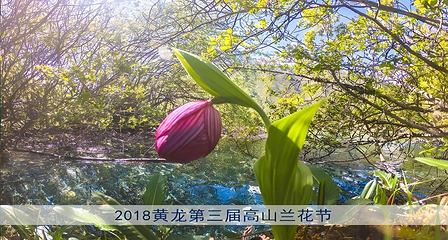 黄龙风景名胜区第 9 张图片
