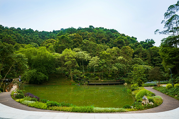高峰森林公园第 34 张图片