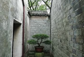 天一阁博物院第 314 张图片