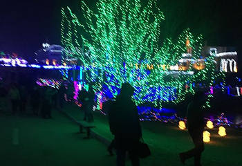香草湖梦幻灯光节第 19 张图片