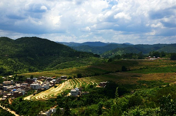 坪山梯田旅游区第 13 张图片