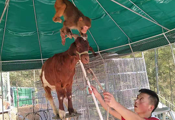 桃江安宁竹谷生态景区第 8 张图片