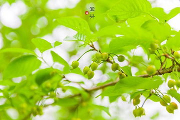 横山水库第 11 张图片