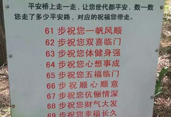 仙人岛森林公园第 2 张图片