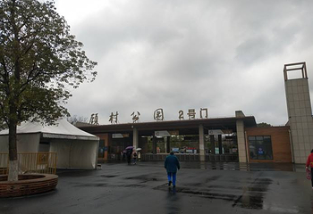 顾村公园第 88 张图片