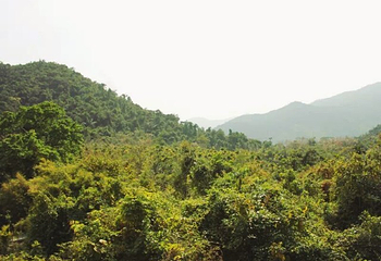 原山白石洞景区第 11 张图片
