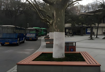 中山陵景区第 36 张图片
