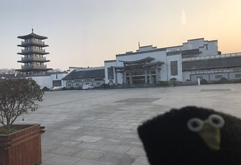 徽州文化园第 16 张图片