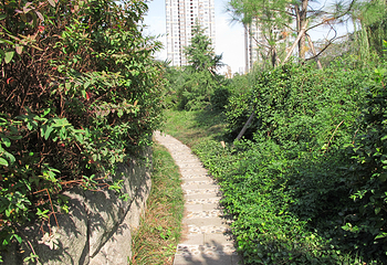 荆川公园第 5 张图片