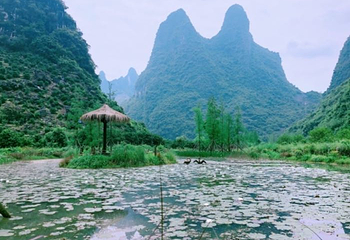 好哒呀野趣农场第 34 张图片