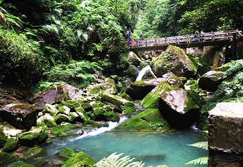 龙水峡地缝第 49 张图片
