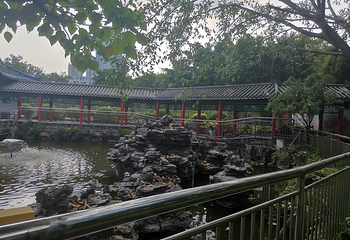 龙岗龙园第 19 张图片