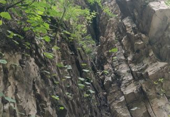 白银坨旅游风景区第 24 张图片