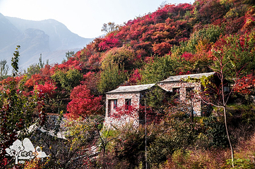 坡峰岭第 49 张图片