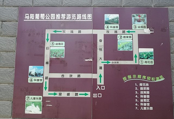 马陆葡萄主题公园第 16 张图片
