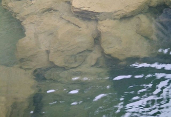 金秀圣堂湖景区第 23 张图片