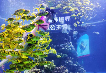 武汉东湖海洋世界第 41 张图片
