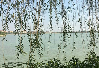 千龙湖生态旅游度假区第 34 张图片