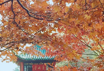 坡子街牌坊第 22 张图片