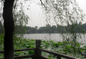 菱湖公园第 12 张图片