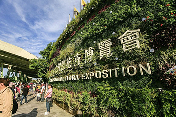 圆山公园第 13 张图片
